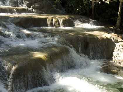 Jamaica Magical Mystical Isand Paradise Rastaseed.com