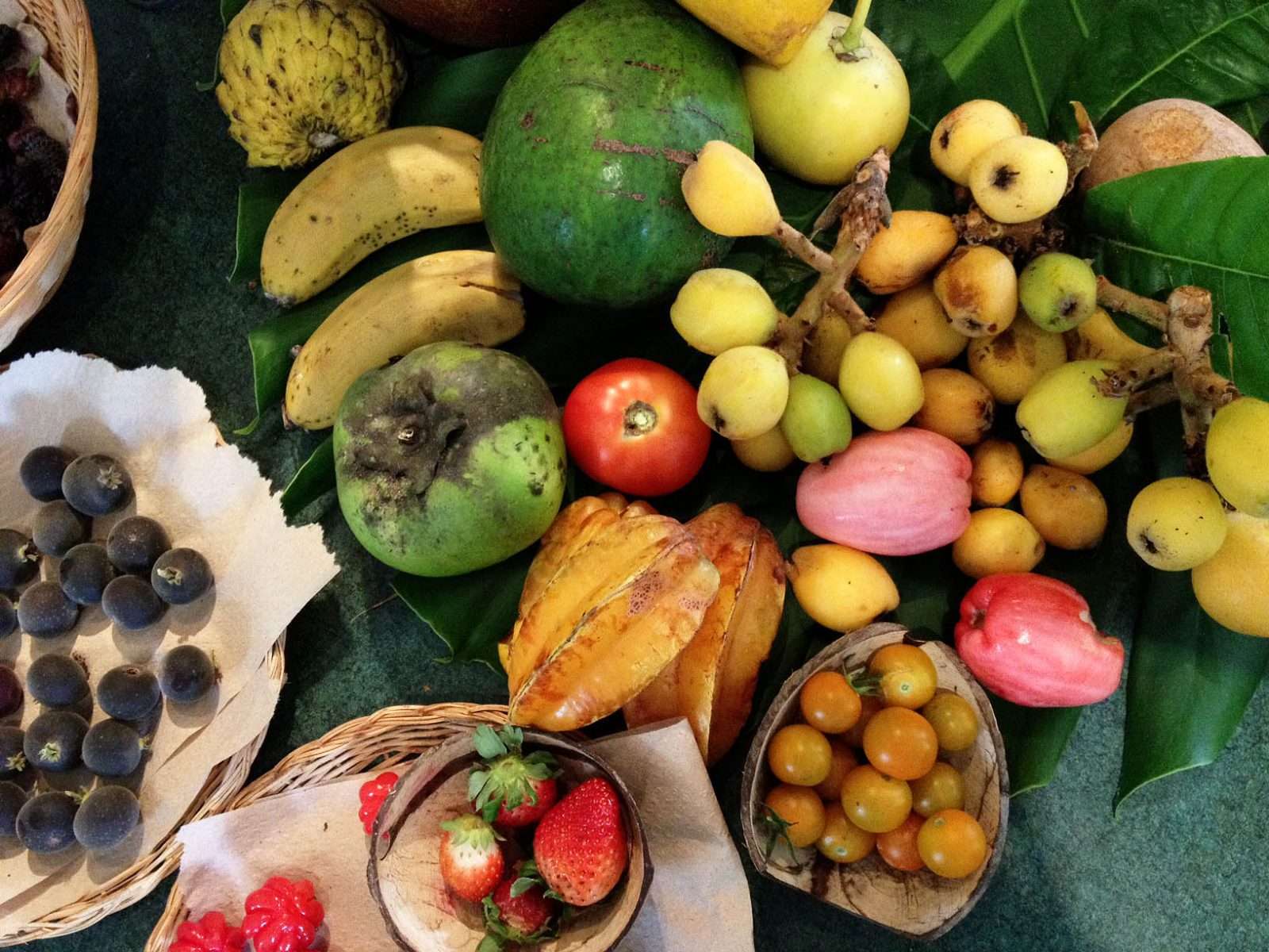 fruit tree planting guide for subtropical Australia Rastaseed.com