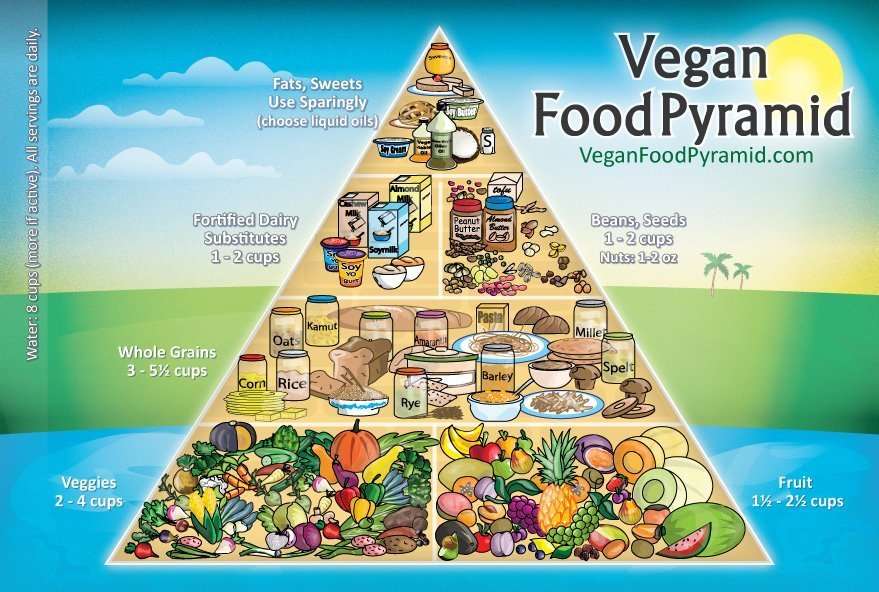Vegan diet can put less strain on planet earth staging.rastaseed.com