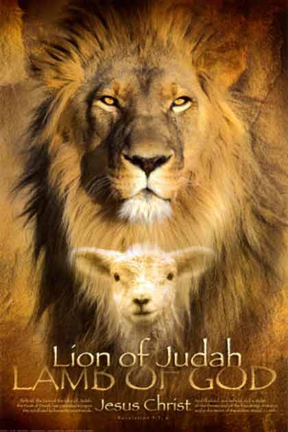 Lion of Judah meaning staging.rastaseed.com