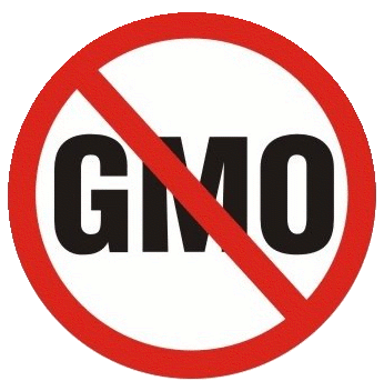 GE Crops of BT Corn in the phillipines causing mystery illnesses in humans staging.rastaseed.com