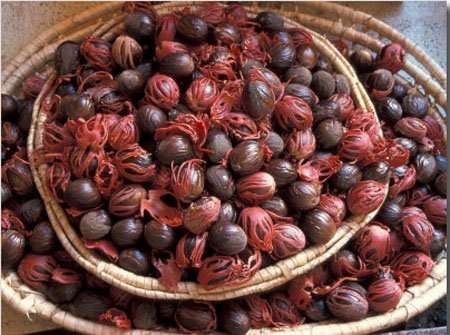 Nutmeg is a delcious spice with magical properties staging.rastaseed.com